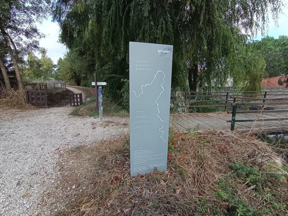 Moradia T4 para Venda em Torres Novas (Santa Maria, Salvador e Santiago) Foto 56