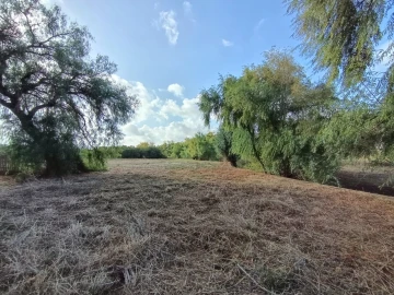 Moradia T4 para Venda em Torres Novas (Santa Maria, Salvador e Santiago)