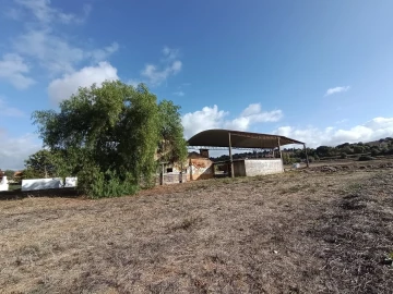 Moradia T4 para Venda em Torres Novas (Santa Maria, Salvador e Santiago)