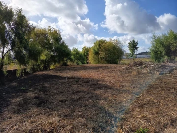 Moradia T4 para Venda em Torres Novas (Santa Maria, Salvador e Santiago)
