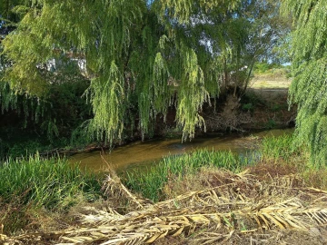 Moradia T4 para Venda em Torres Novas (Santa Maria, Salvador e Santiago)