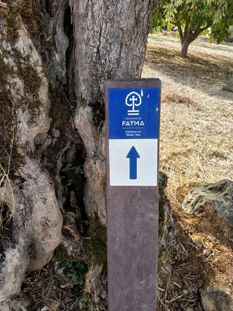 Moradia T4 para Venda em Torres Novas (Santa Maria, Salvador e Santiago)