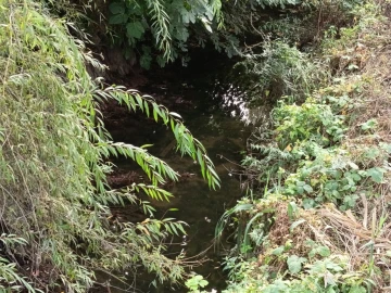 Moradia T4 para Venda em Torres Novas (Santa Maria, Salvador e Santiago)