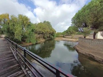 Moradia T4 para Venda em Torres Novas (Santa Maria, Salvador e Santiago)