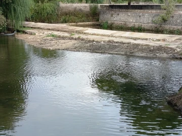 Moradia T4 para Venda em Torres Novas (Santa Maria, Salvador e Santiago)