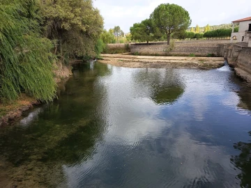 Moradia T4 para Venda em Torres Novas (Santa Maria, Salvador e Santiago)