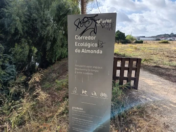 Moradia T4 para Venda em Torres Novas (Santa Maria, Salvador e Santiago)