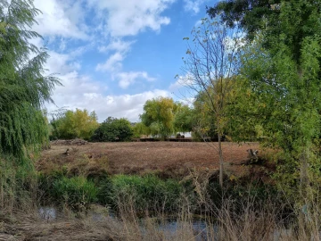 Moradia T4 para Venda em Torres Novas (Santa Maria, Salvador e Santiago)