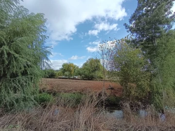 Moradia T4 para Venda em Torres Novas (Santa Maria, Salvador e Santiago)