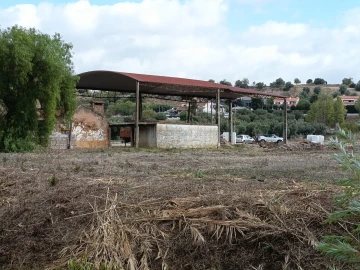 Moradia T4 para Venda em Torres Novas (Santa Maria, Salvador e Santiago)