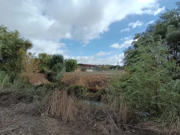 Moradia T4 para Venda em Torres Novas (Santa Maria, Salvador e Santiago)