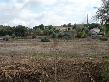 Moradia T4 para Venda em Torres Novas (Santa Maria, Salvador e Santiago)