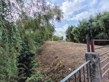 Moradia T4 para Venda em Torres Novas (Santa Maria, Salvador e Santiago)