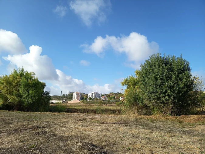 Moradia T4 para Venda em Torres Novas (Santa Maria, Salvador e Santiago) Foto 27