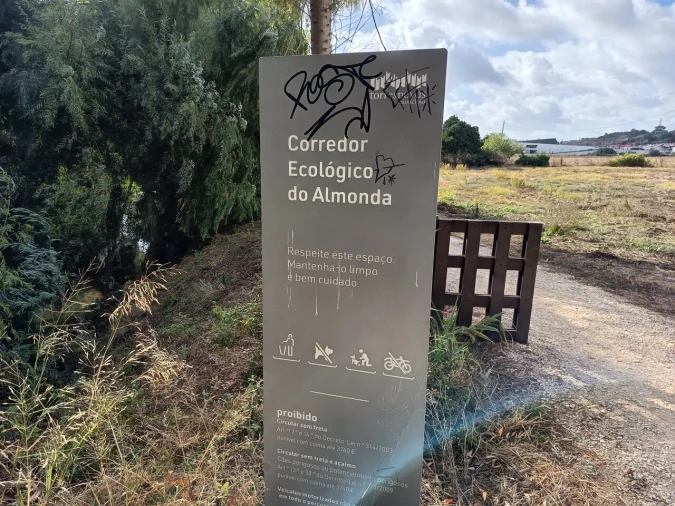 Moradia T4 para Venda em Torres Novas (Santa Maria, Salvador e Santiago) Foto 48