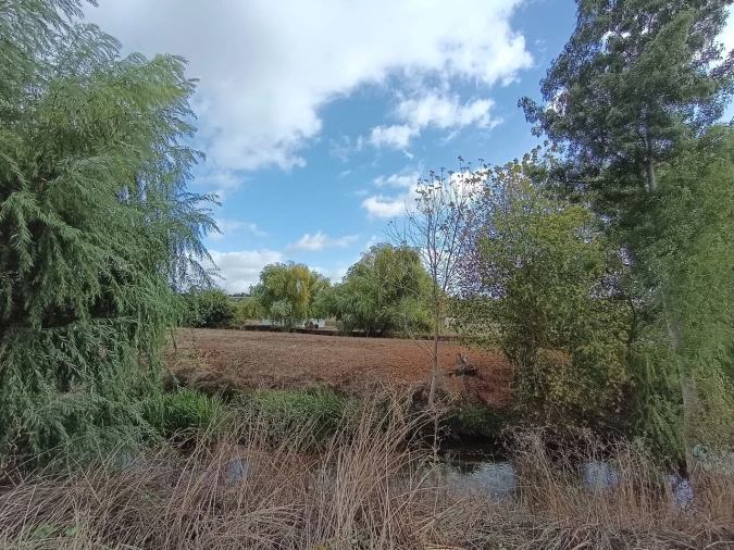 Moradia T4 para Venda em Torres Novas (Santa Maria, Salvador e Santiago) Foto 50