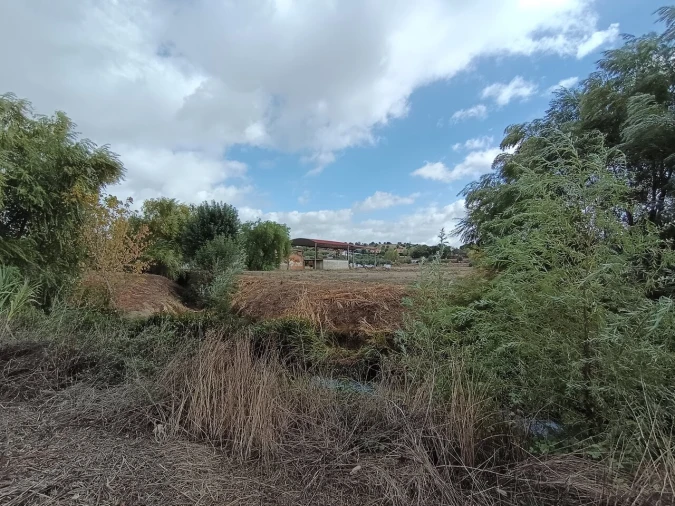 Moradia T4 para Venda em Torres Novas (Santa Maria, Salvador e Santiago) Foto 52