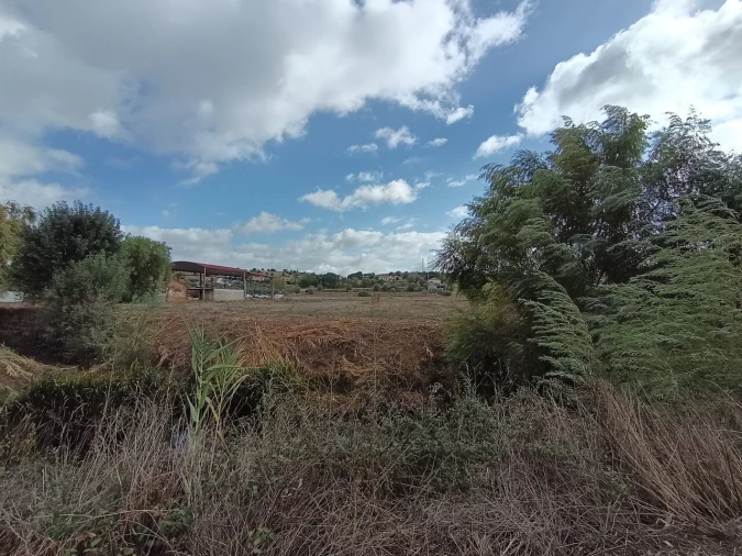 Moradia T4 para Venda em Torres Novas (Santa Maria, Salvador e Santiago) Foto 53