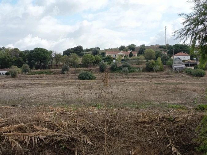 Moradia T4 para Venda em Torres Novas (Santa Maria, Salvador e Santiago) Foto 54