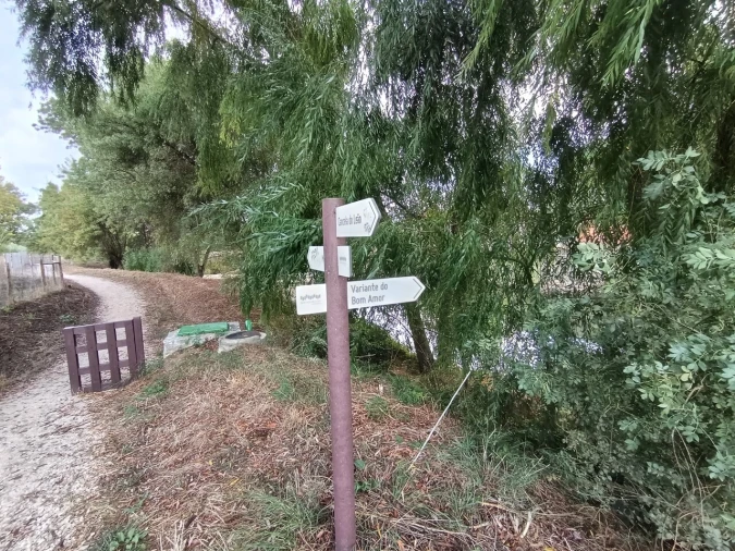 Moradia T4 para Venda em Torres Novas (Santa Maria, Salvador e Santiago) Foto 57