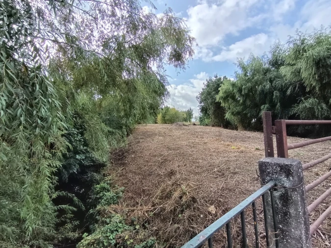 Moradia T4 para Venda em Torres Novas (Santa Maria, Salvador e Santiago) Foto 59