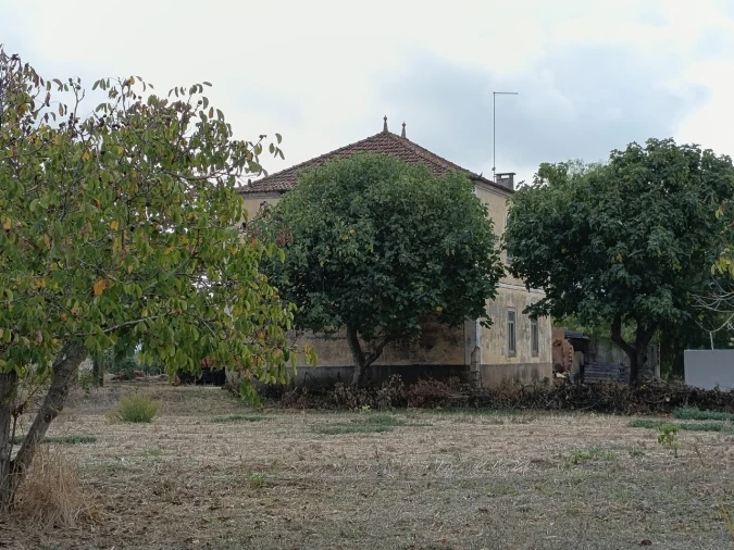 Moradia T4 para Venda em Torres Novas (Santa Maria, Salvador e Santiago) Foto 60