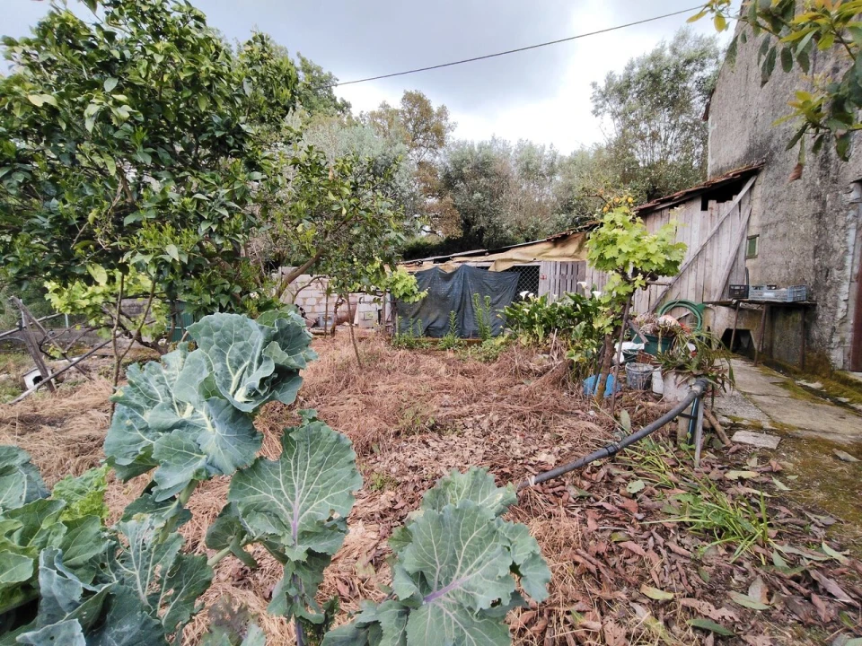 Moradia T3 para Venda em Avelar Foto 41