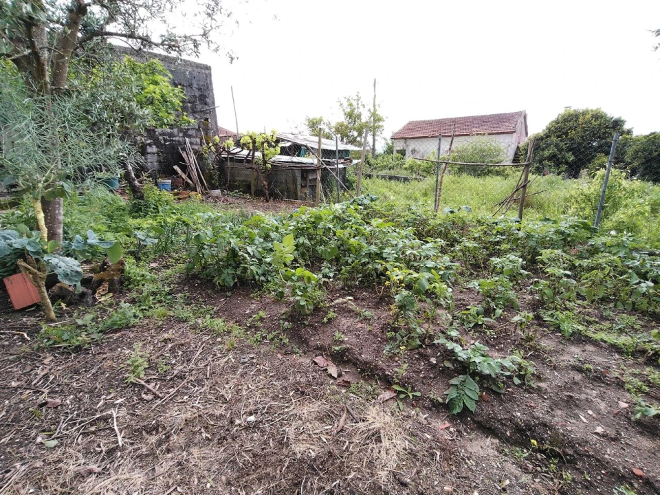 Moradia T3 para Venda em Avelar Foto 42