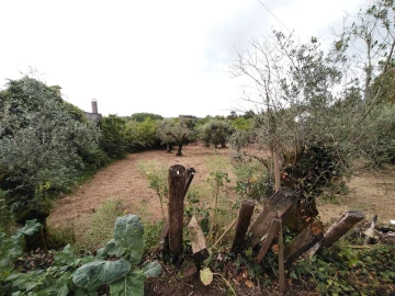 Moradia T3 para Venda em Avelar