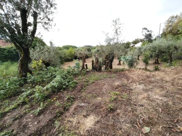 Moradia T3 para Venda em Avelar