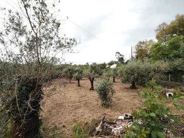 Moradia T3 para Venda em Avelar