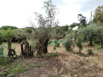 Moradia T3 para Venda em Avelar