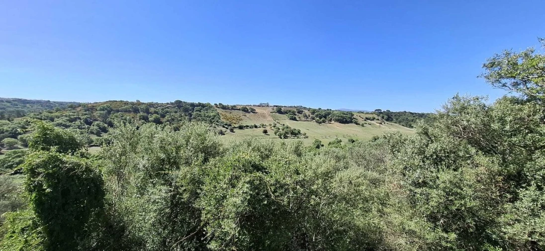 Moradia T3 para Venda em Almoster Foto 16