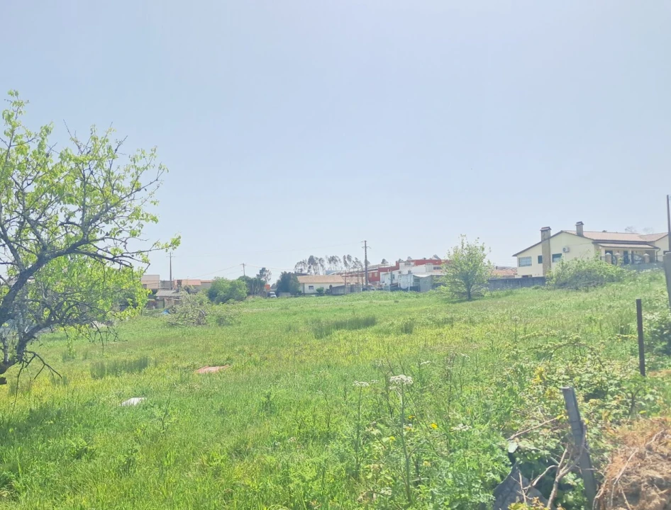 Terreno para Venda em Maceira Foto 5