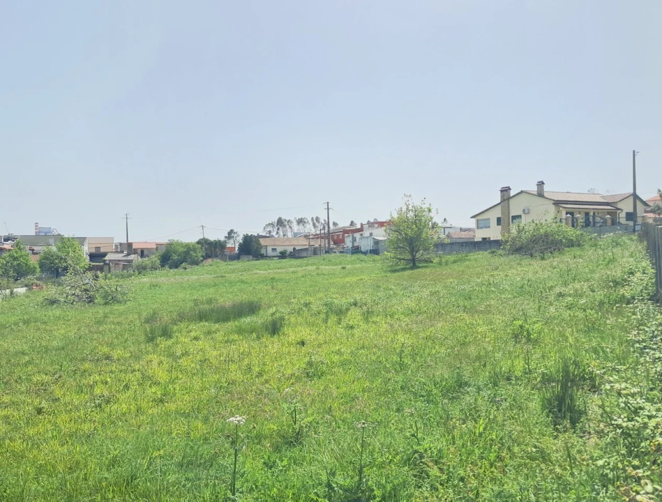 Terreno para Venda em Maceira Foto 6