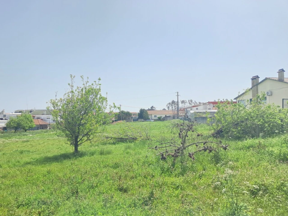 Terreno para Venda em Maceira Foto 7