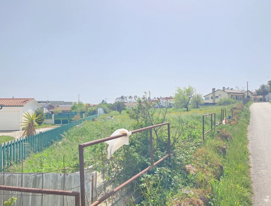 Terreno para Venda em Maceira Foto 10