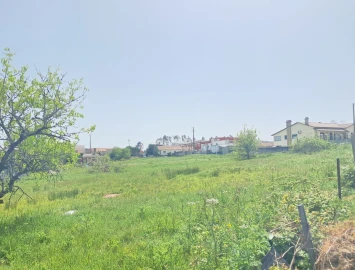 Terreno para Venda em Maceira