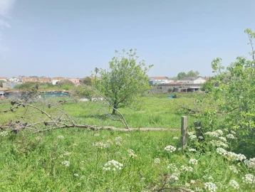 Terreno para Venda em Maceira