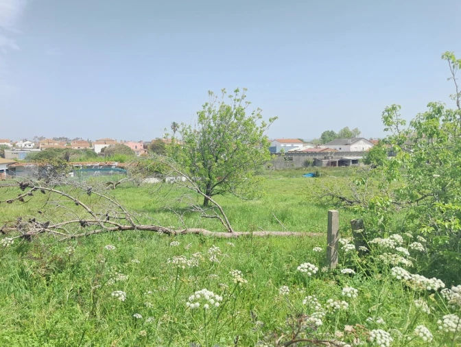 Terreno para Venda em Maceira Foto 8