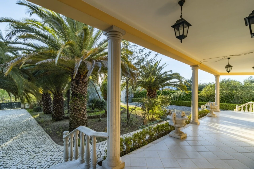 Quinta T7 para Venda em Cartaxo e Vale da Pinta Foto 33