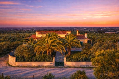 Quinta T7 para Venda em Cartaxo e Vale da Pinta