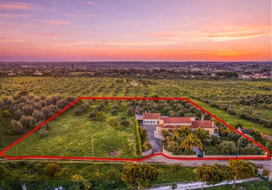 Quinta T7 para Venda em Cartaxo e Vale da Pinta