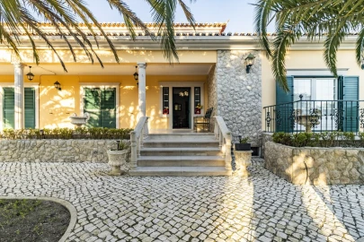 Quinta T7 para Venda em Cartaxo e Vale da Pinta