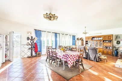 Quinta T7 para Venda em Cartaxo e Vale da Pinta