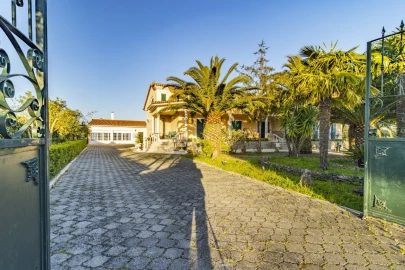 Quinta T7 para Venda em Cartaxo e Vale da Pinta