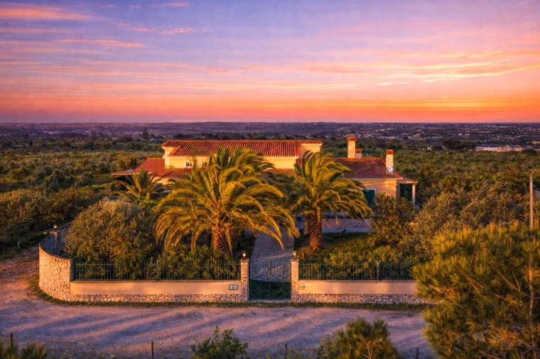 Quinta T7 para Venda em Cartaxo e Vale da Pinta Foto 2