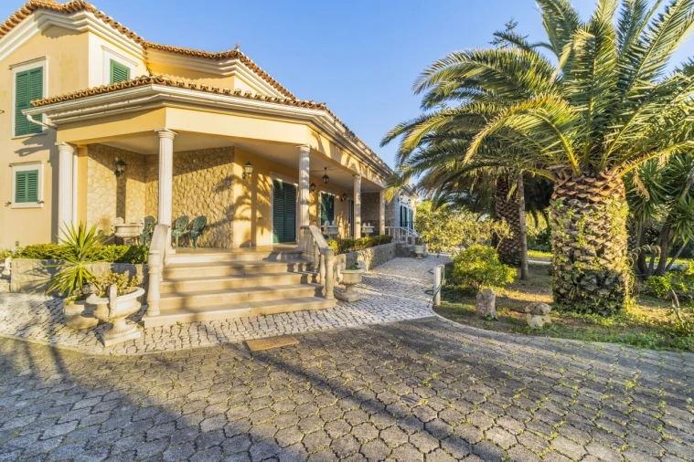 Quinta T7 para Venda em Cartaxo e Vale da Pinta Foto 4