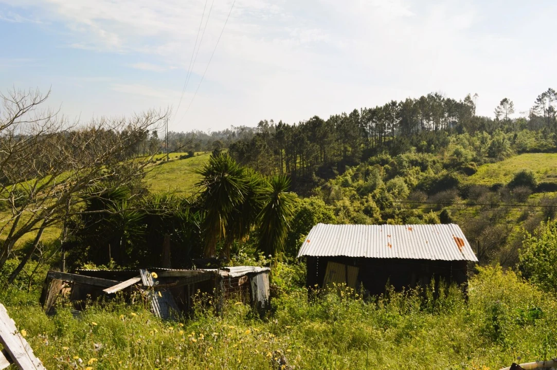 Moradia T3 para Venda em Coz, Alpedriz e Montes Foto 33