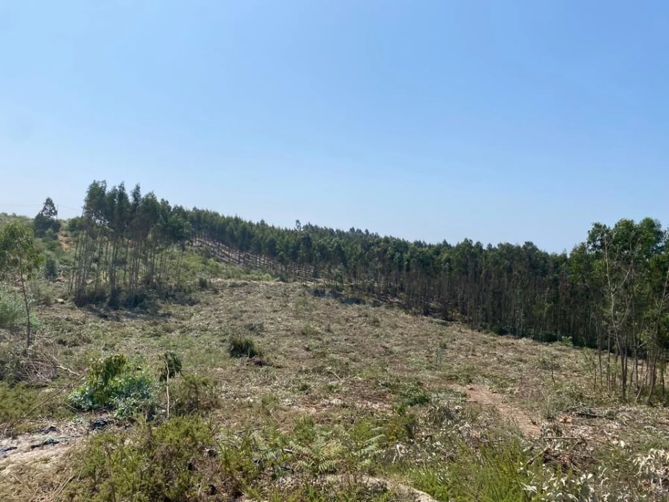 Terreno para Venda em A dos Cunhados e Maceira Foto 4